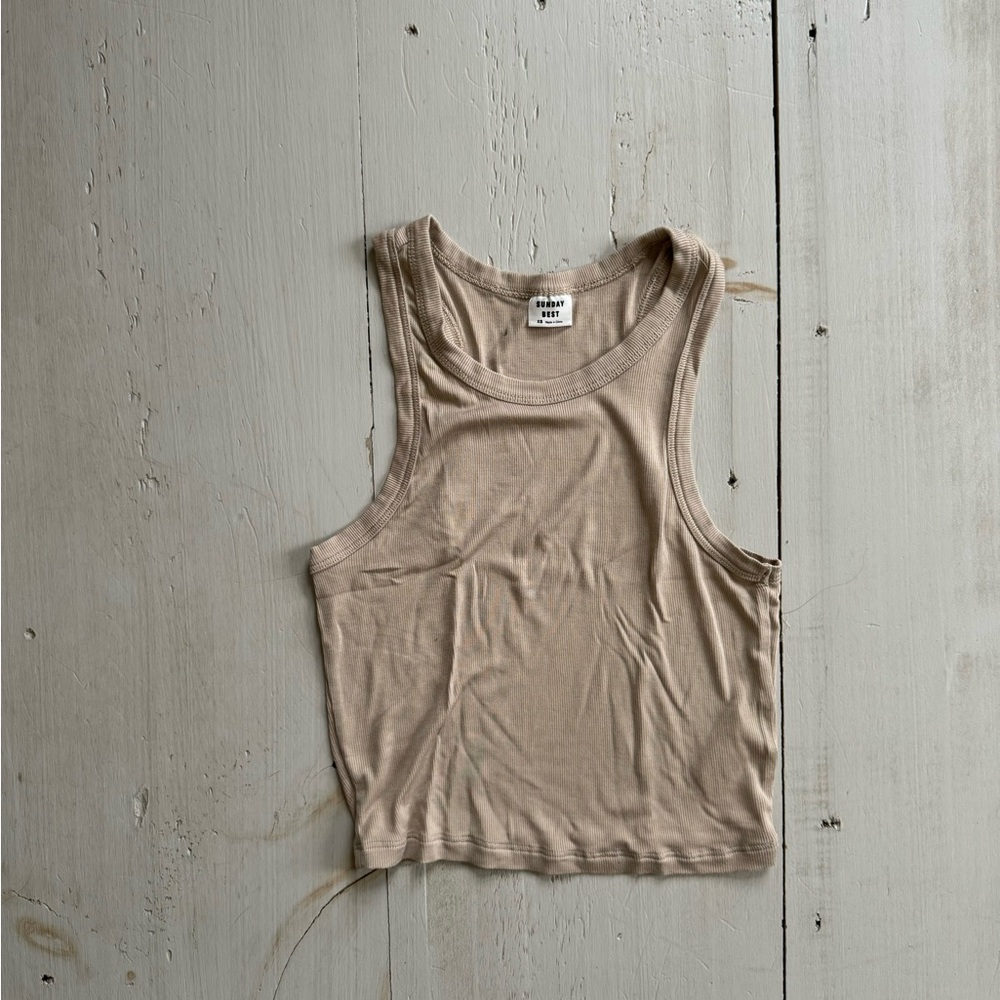 Aritzia High Neck Tank